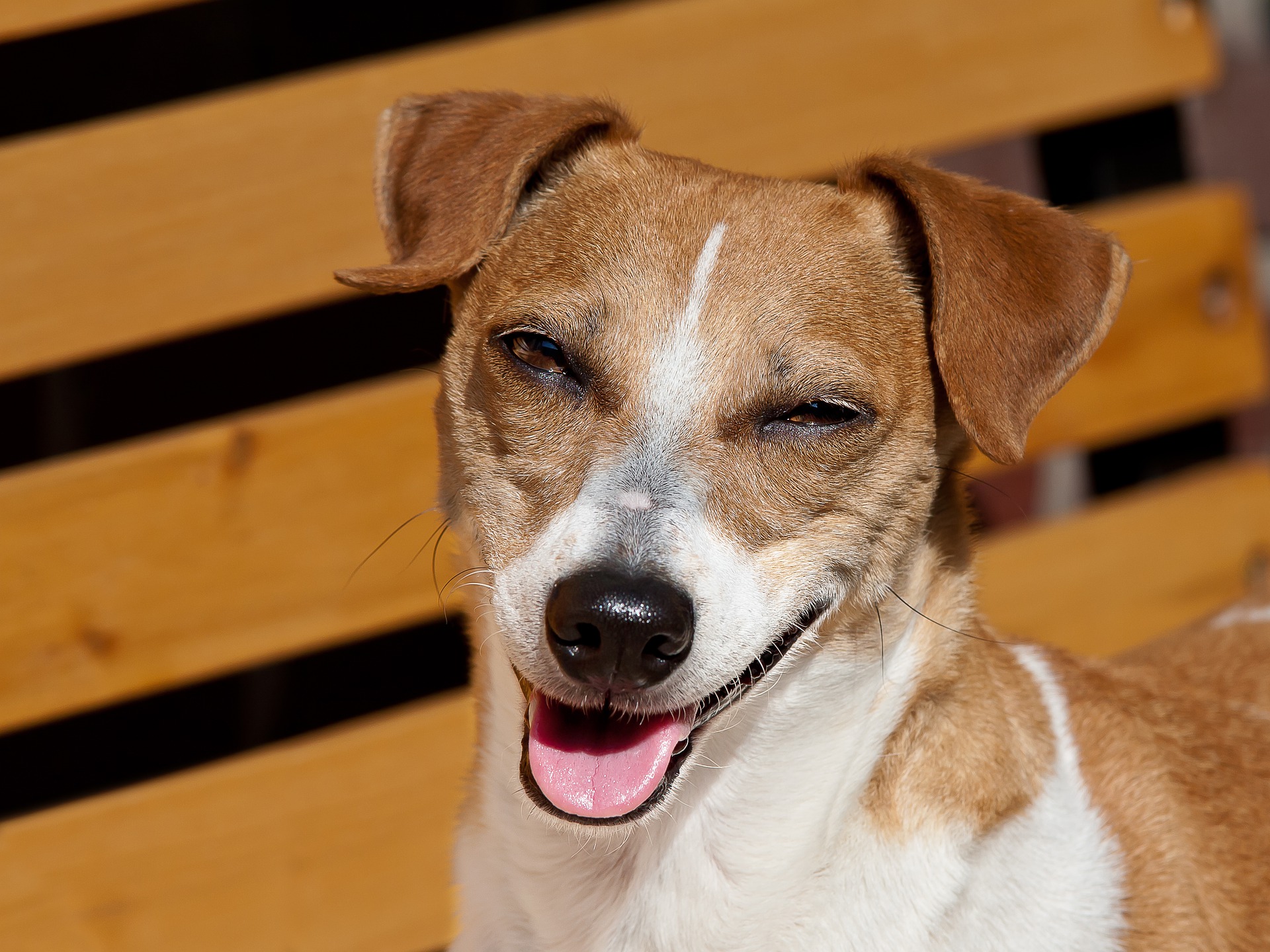 What Are Some Very Funny Jokes?