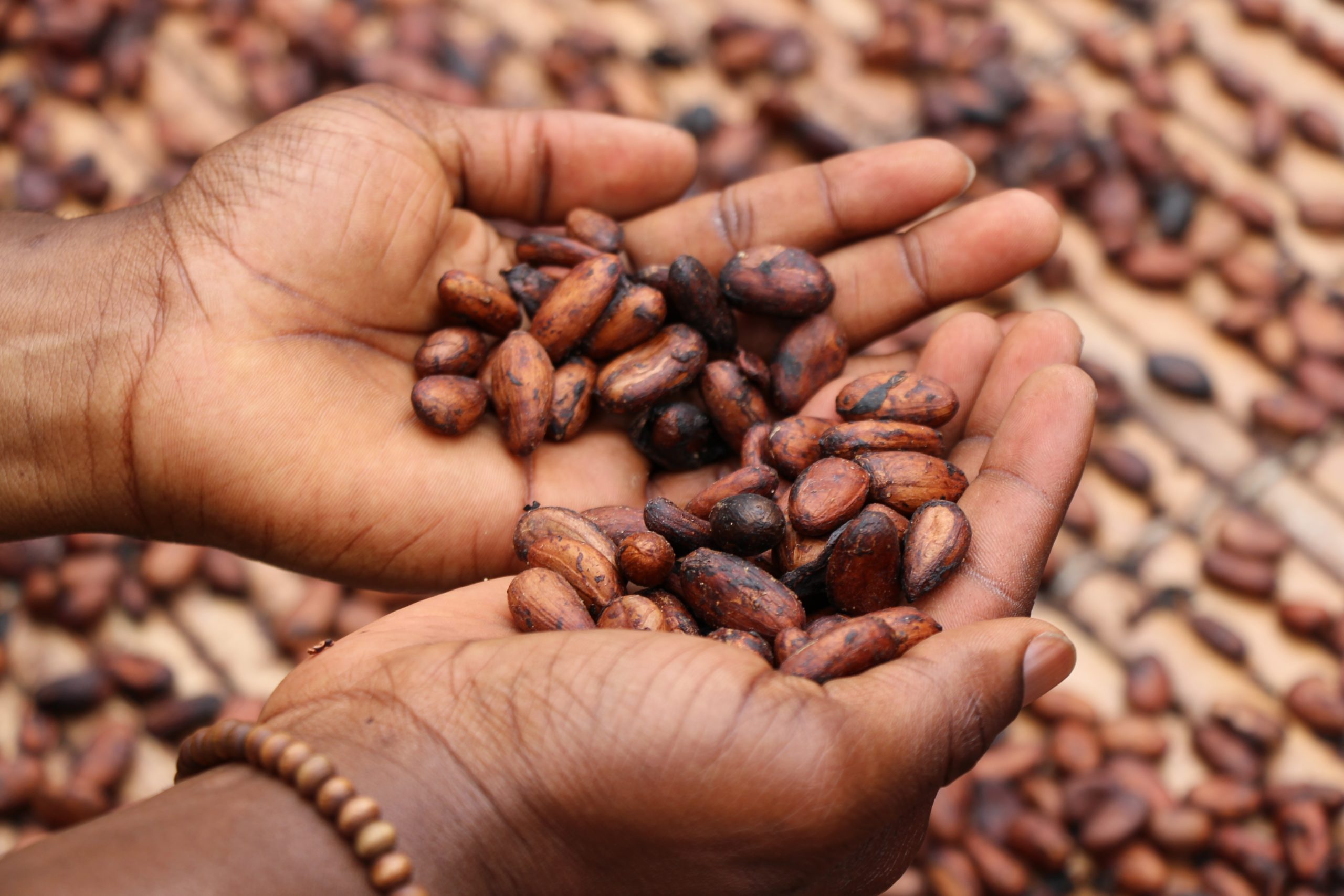 10 Health Benefits Of Cacao