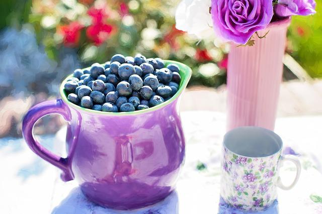 health benefits of blueberries