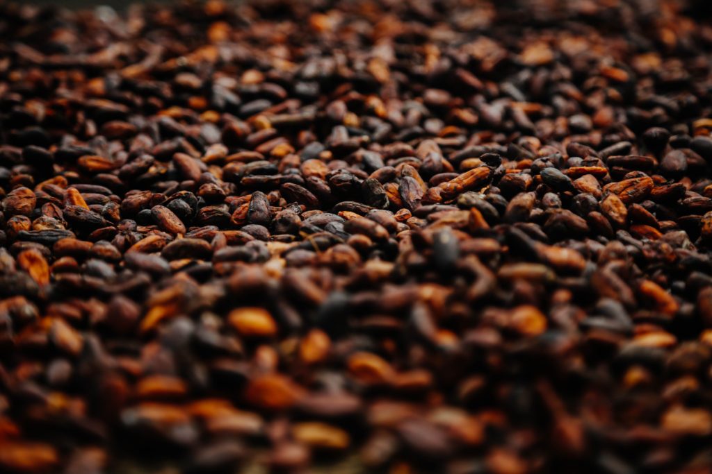 Cacao – The Amazonian Antioxidant King