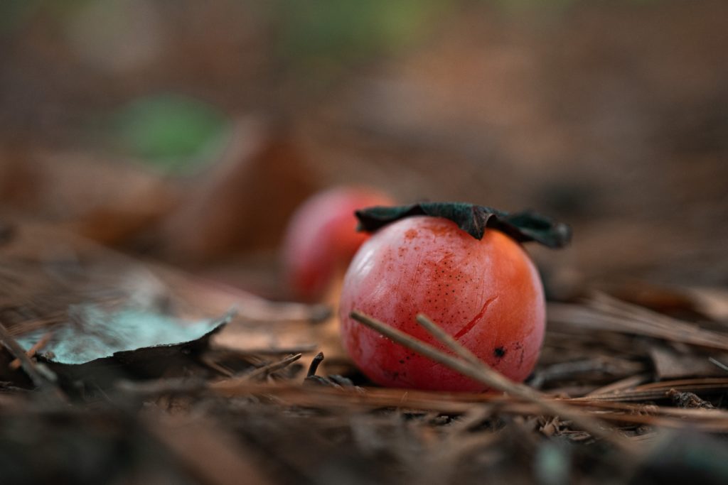 Eat Persimmon Fruit For These Fabulous Health Benefits