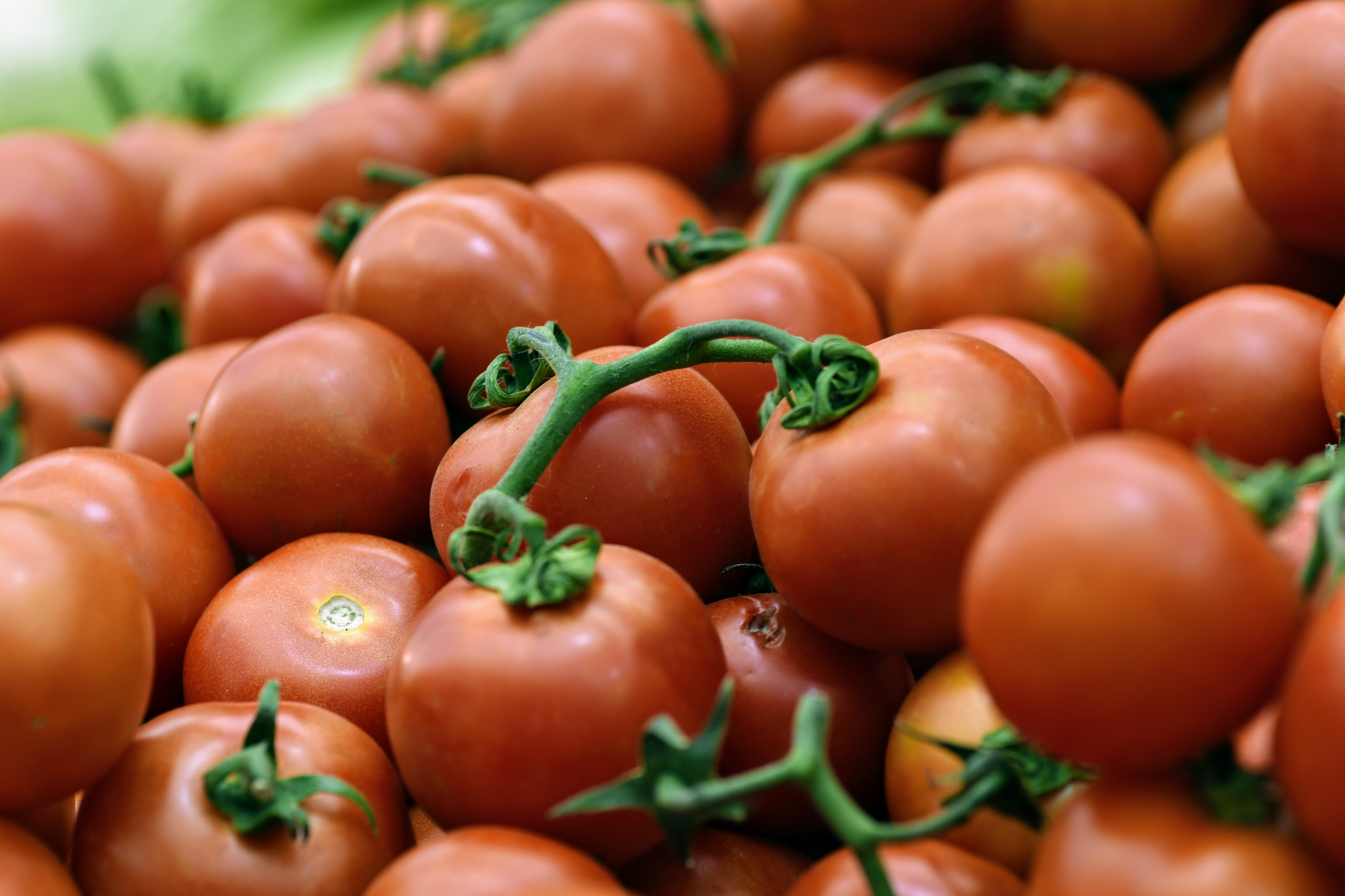 Lycopene Promotes A Healthy Immune System