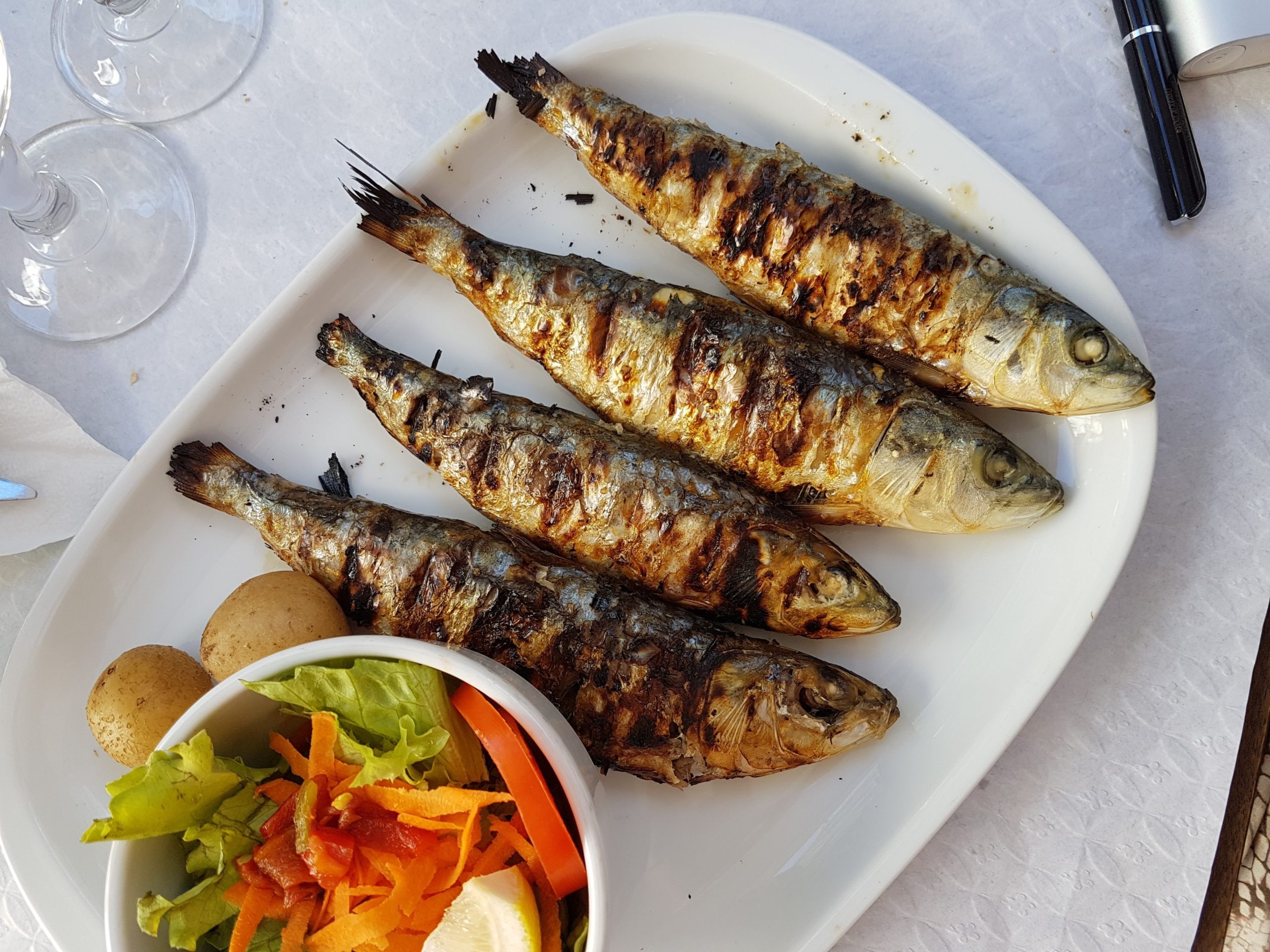 The Superb Sardine