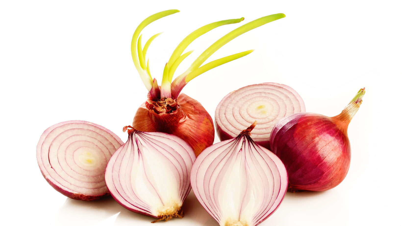 instructions for planting garlic