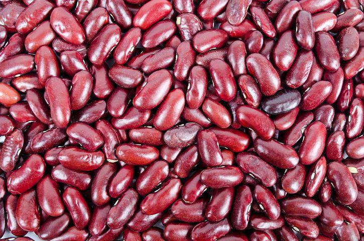 foods good for kidneys
