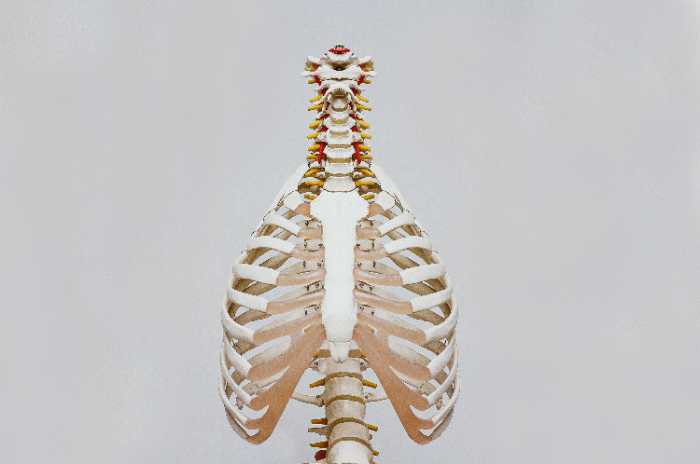 slipped disc symptoms