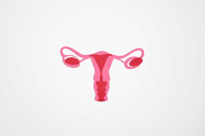 prolapsed uterus causes