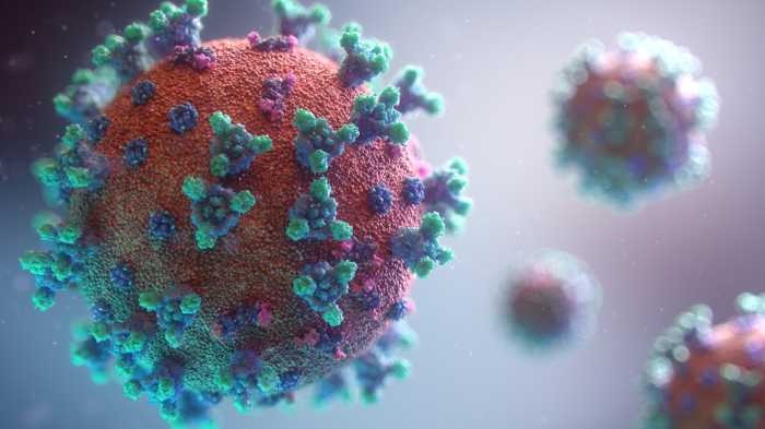 hpv virus symptoms