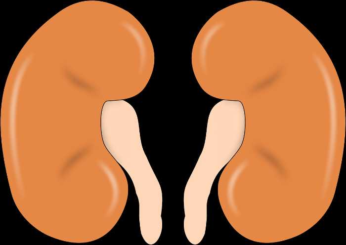 symptoms of hydronephrosis