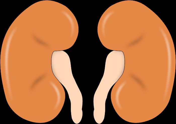 symptoms of hydronephrosis