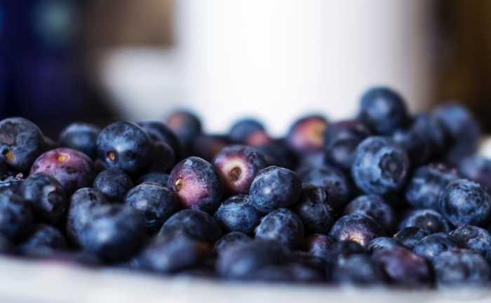 Surprising Health Benefits Of Juniper Berries