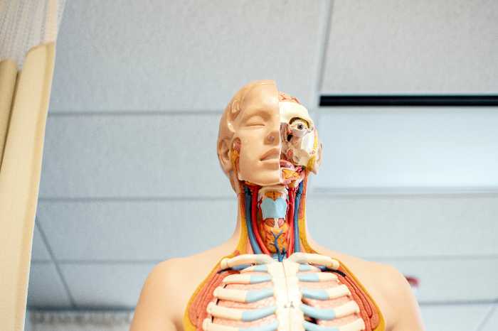 symptoms of hypothyroidism