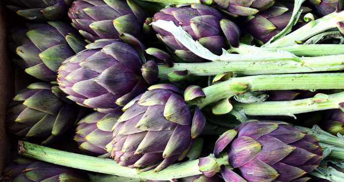 health benefits of artichokes