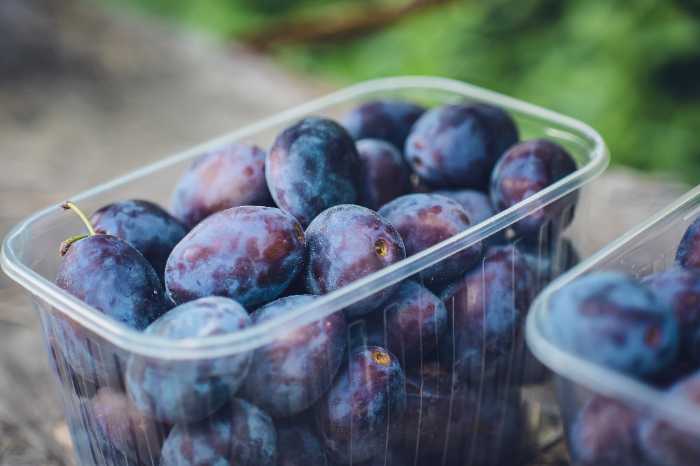 what does vitamin k do