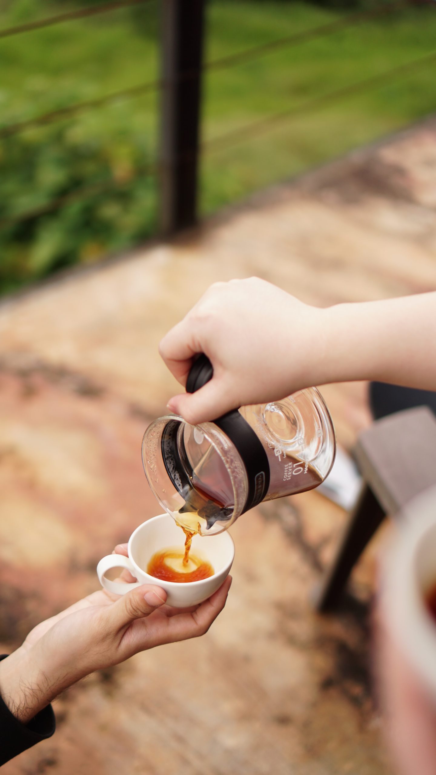 Habits For Better Kidney Health