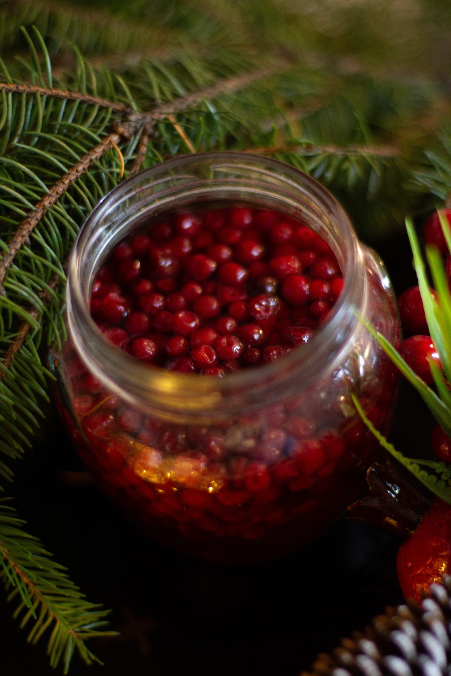 Lingonberry: The Wonder Berry