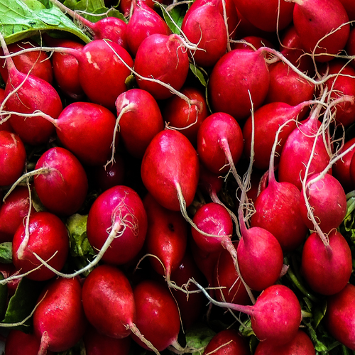 Health Benefits Of Radish